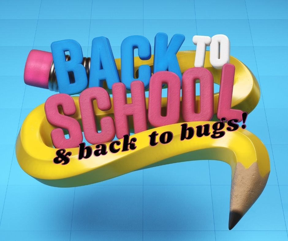 Back to School & Back to Bugs