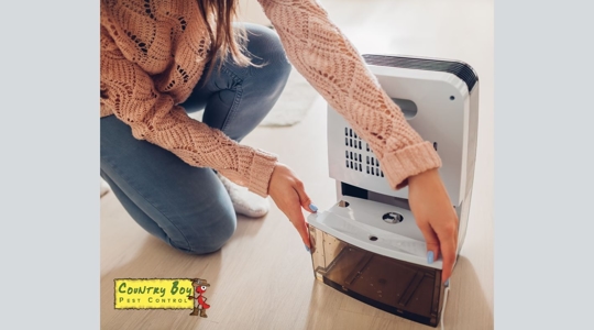 Setting up a dehumidifier