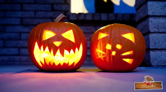 From Spooky to Serious: When Halloween Decorations Start Attracting Pests