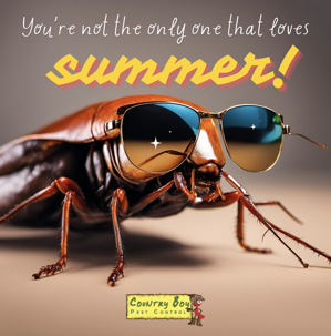 Temporary Remedies for Pest Control: Practical Solutions While Awaiting Professional Help