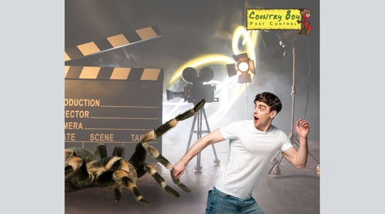 Pests in Pop Culture: How Movies and TV Get It Wrong