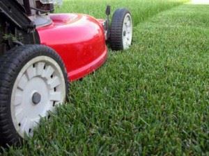 red lawnmower on green grass