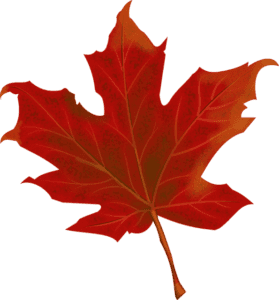 red leaf