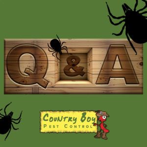 Q&A graphic on wood with ticks around it